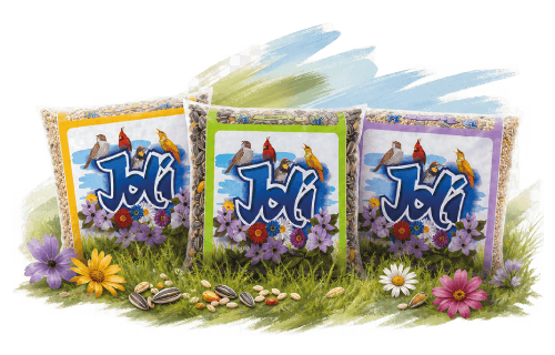 Imagem de alguns produtos da Joli | Joli Cereais